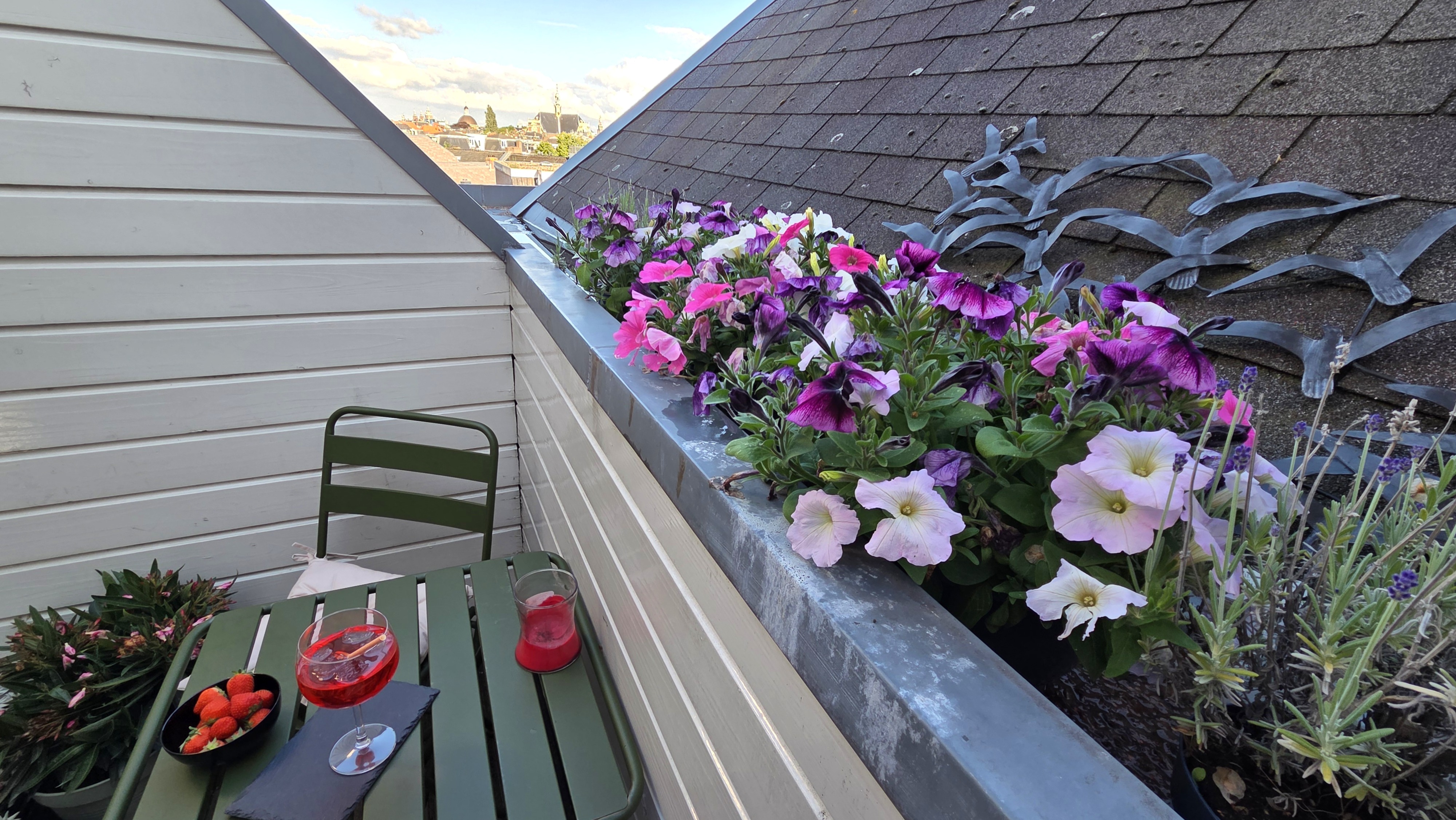 Terrace plants and seating